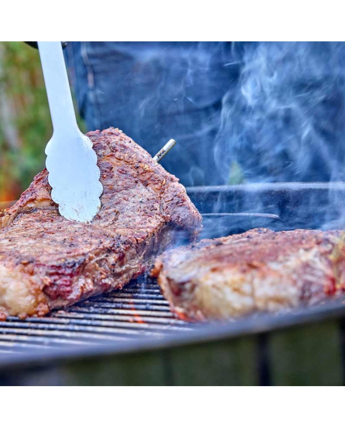 ETI Trådløst RFX startkit med 1 stk. trådløs indstiksføler, modtagerenhed og termometer Thermapen ONE®