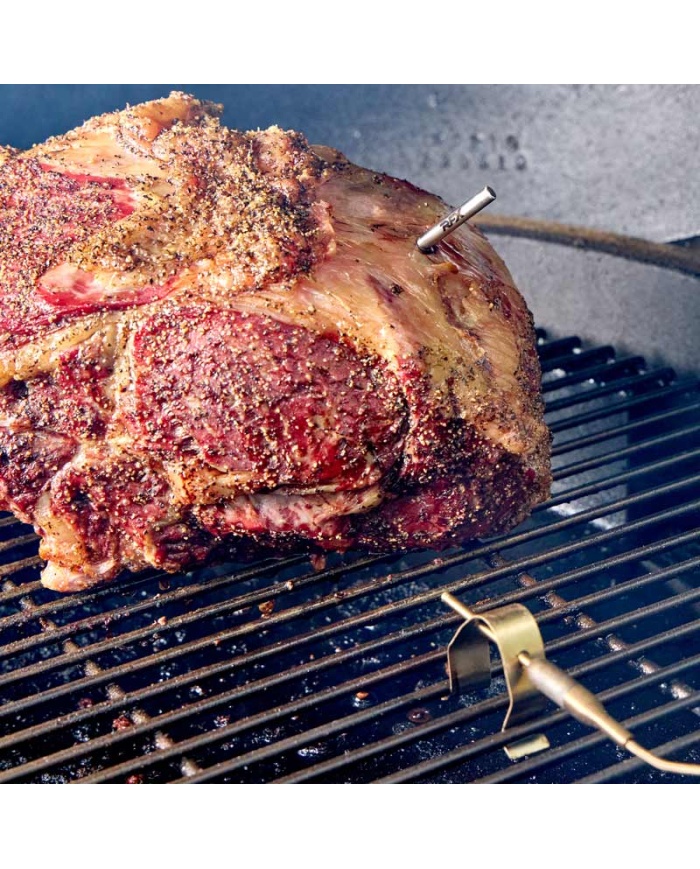 ETI Trådløst RFX startkit med 1 stk. trådløs indstiksføler, modtagerenhed og termometer Thermapen ONE®