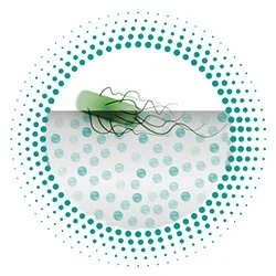 Biocote Antimicrobial Protection